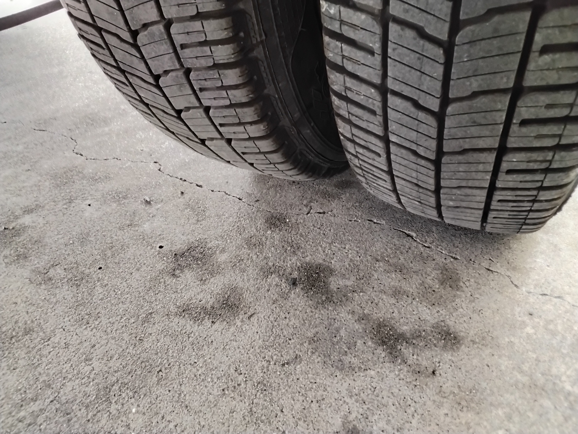 12d8cab4 d31c 4582 8ac6 32cfeae3a62d