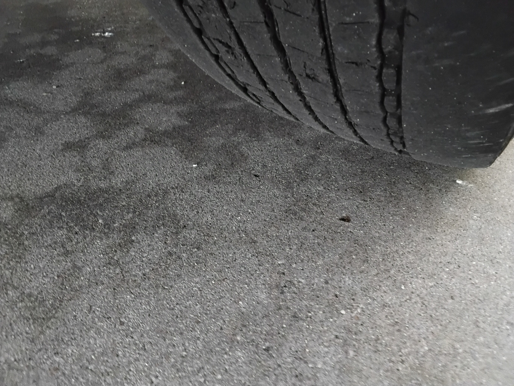 23db74bd ba4f 4c26 a566 00444a405540