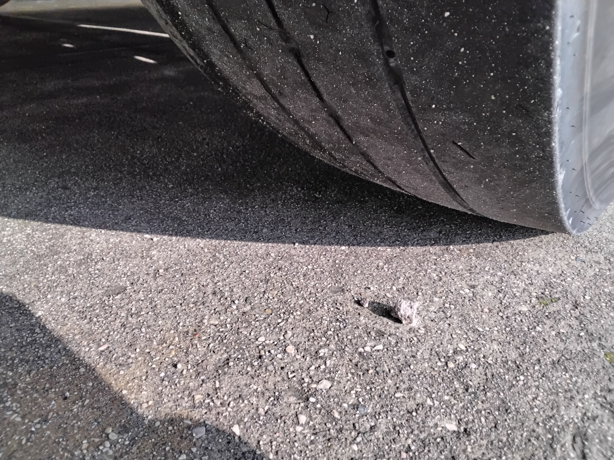 47f7a50d b11a 4171 8910 5514ad2c96fc