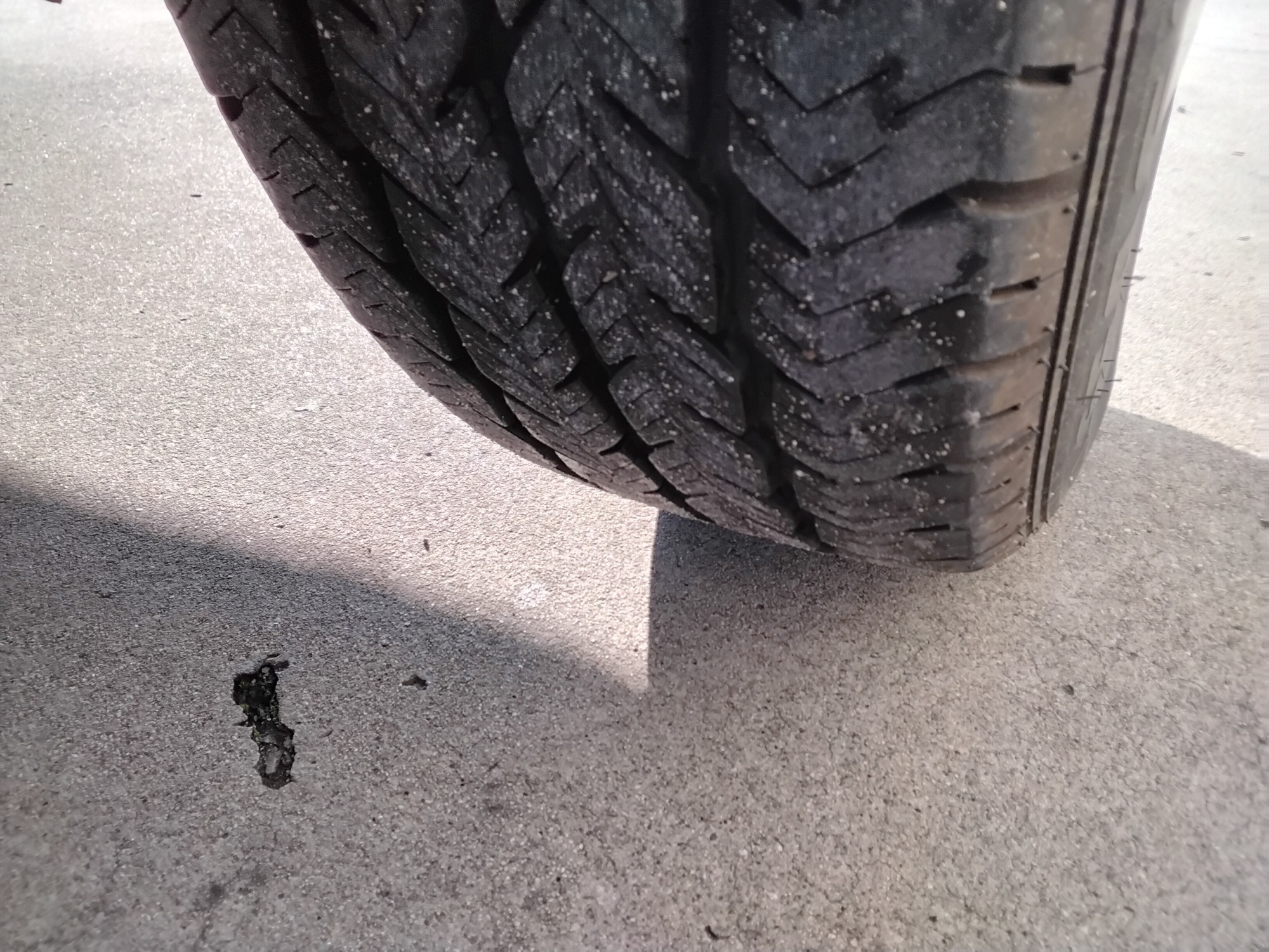 55cf9bc9 51d6 4db8 b0f8 2e0f7a6dbed3