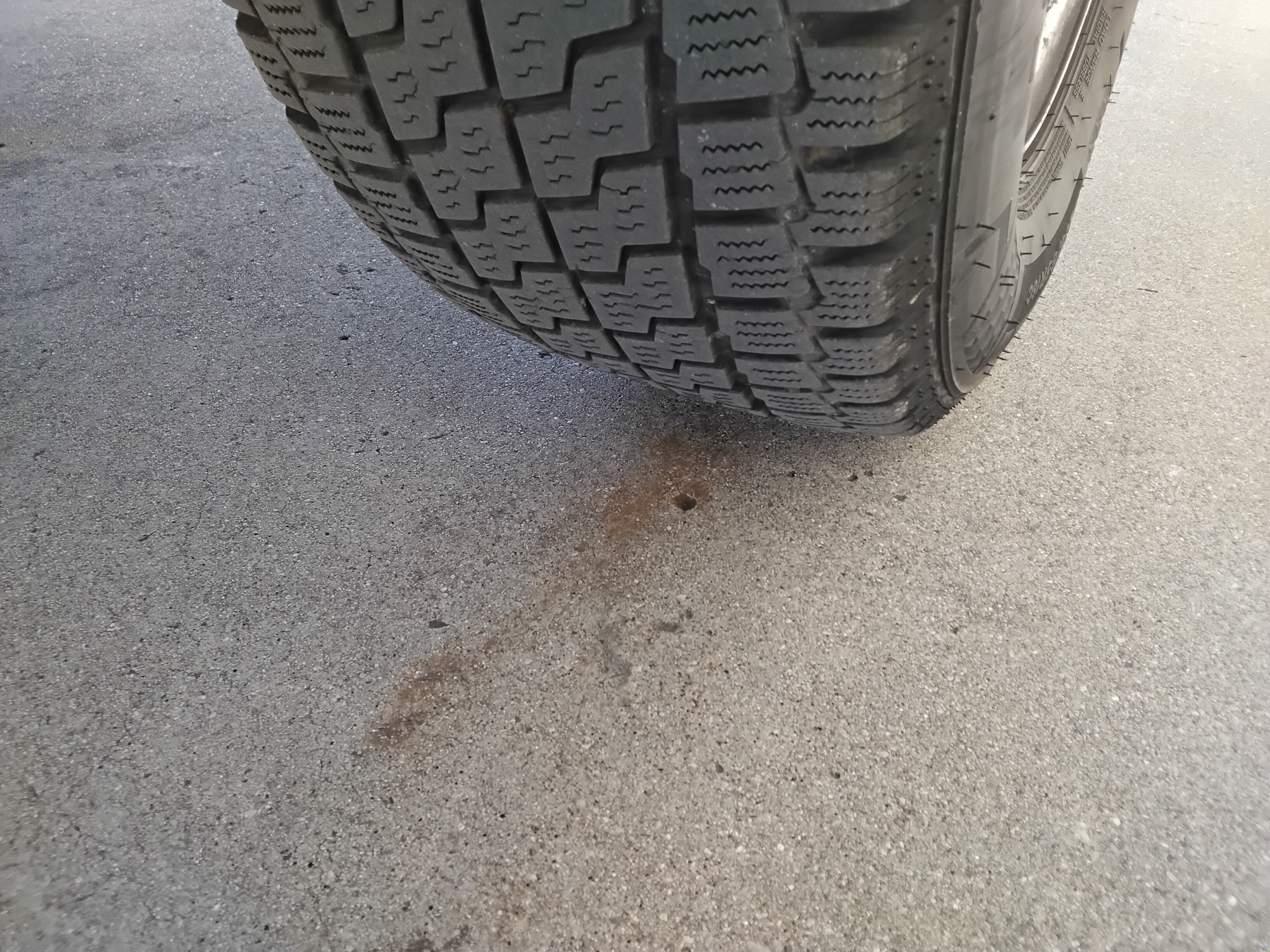 6ba55f42 04ae 453c 800e c985d023272c