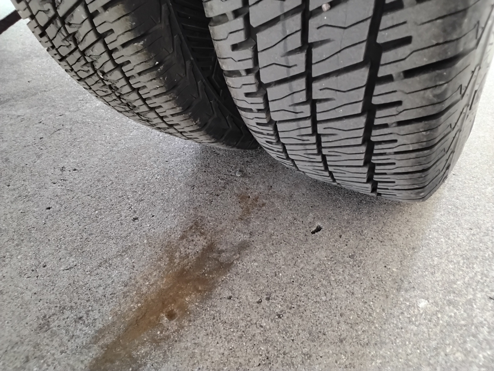 7589356f 69b7 42ea ab2a 4c0277b4967d