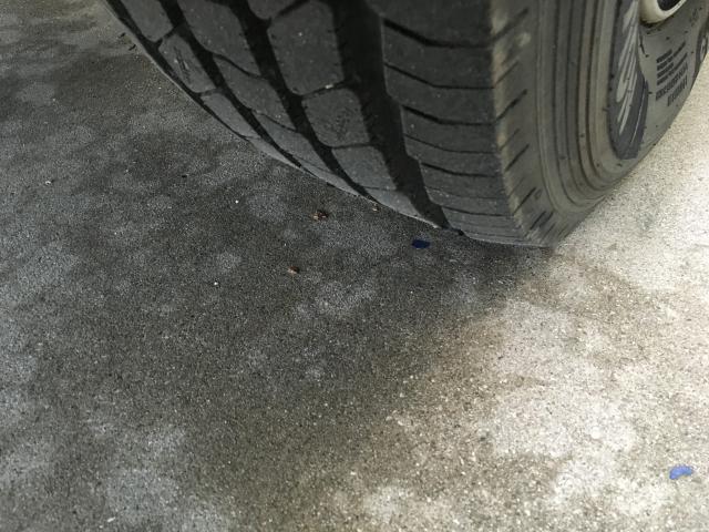 240171J.JPG